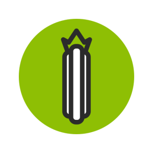 Concombre