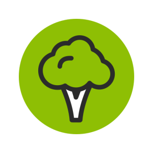 Brocoli